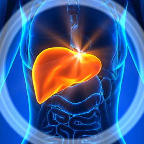 De verbinding van uw lever met de gezondheid van het hart: NAFLD verhoogt uw risico op een hartaanval en beroerte