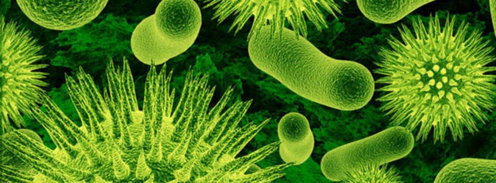 Je wasmachine kan medicijnbestendige bacteriën kweken