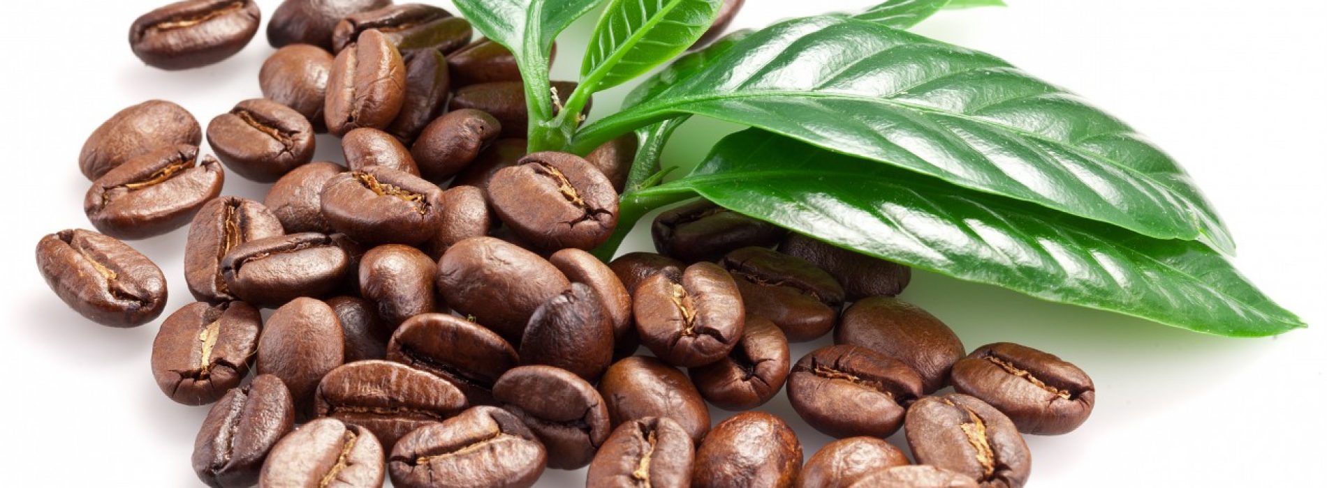 Koffieboonextracten verlichten ontstekingen en insulineresistentie