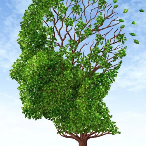 Top 10 remedies tegen Alzheimer (plus preventie) Waarvan ze denken dat we het niet weten