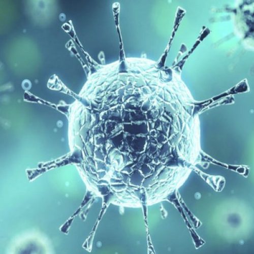 Nieuwe stam van coronavirus momenteel ‘zo dodelijk als de Spaanse griepepidemie’, waarschuwt expert