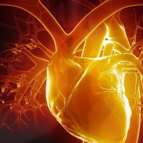 Ernstige COVID-19 infectie kan het hart beschadigen