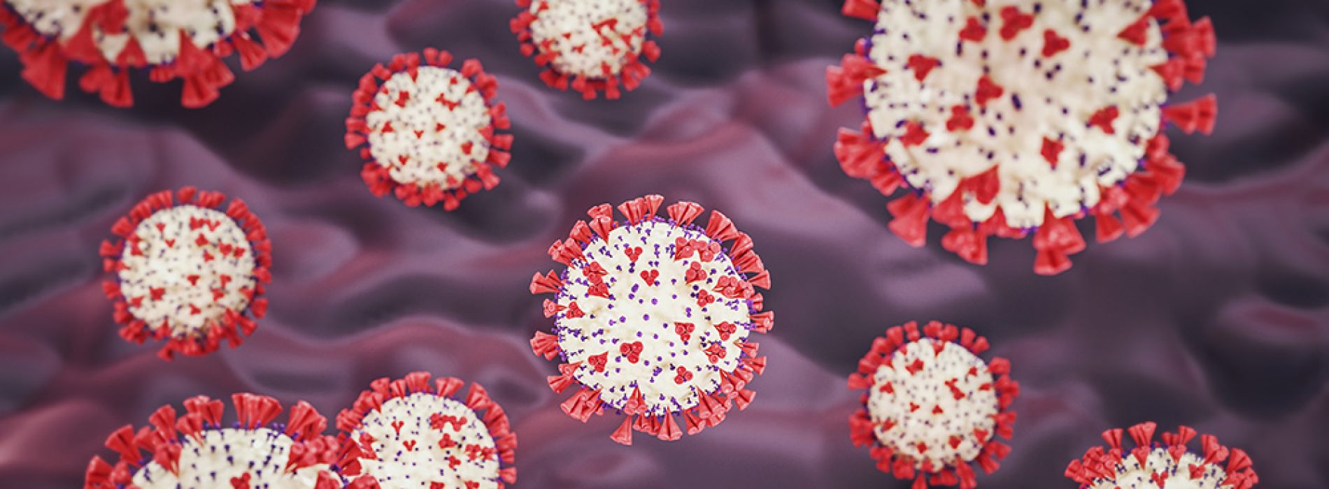 Onderzoek in IJsland identificeert coronavirusmutaties, zegt dat mensen besmet kunnen zijn door meerdere golven van varianten