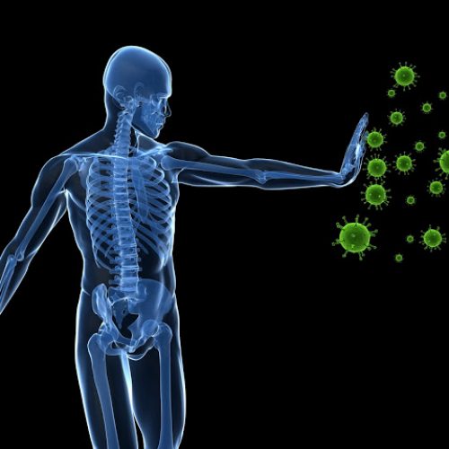 Nieuw COVID-19-onderzoek: het immuunsysteem kan terugvechten