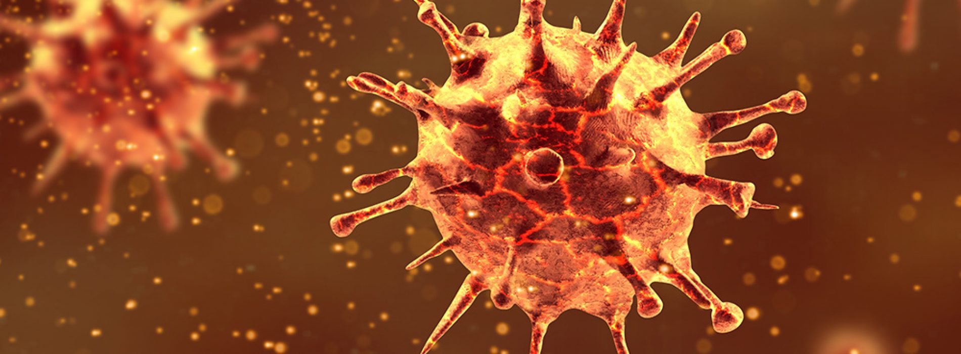 Snelle mutaties veroorzaken twijfel over de immuniteit van het coronavirus op lange termijn