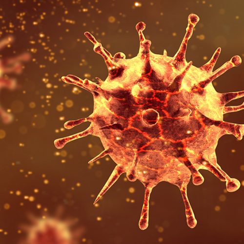 Snelle mutaties veroorzaken twijfel over de immuniteit van het coronavirus op lange termijn