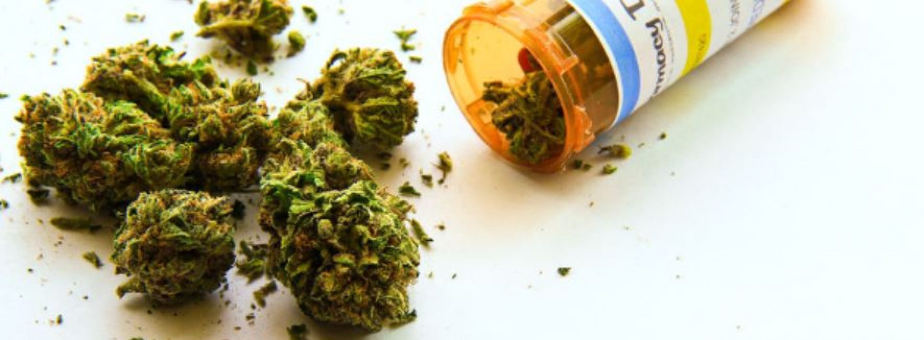 Volgens onderzoek is medicinale cannabis superieur aan opioïden bij chronische pijn