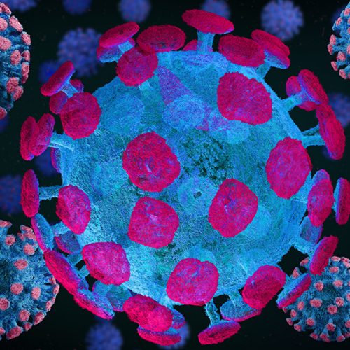 De Zuid-Afrikaanse coronavirusvariant kan vaccins 30% minder effectief maken, waarschuwt SAGE