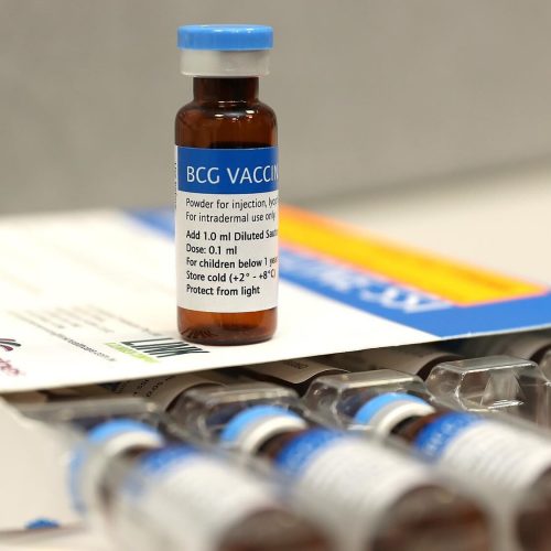 Grote BCG-onderzoeken aan de gang na aanwijzingen dat honderd jaar oud tbc-vaccin een immuunboost biedt tegen Covid-19