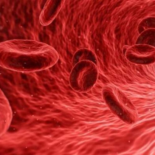 Voorgeschreven bloedverdunners kunnen ziekenhuisopnames in verband met COVID-19 helpen verminderen