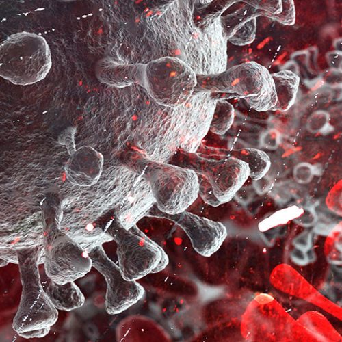 Grafeen "afscheiden" van vaccins vernietigt rode bloedcellen van niet-gevaccineerden