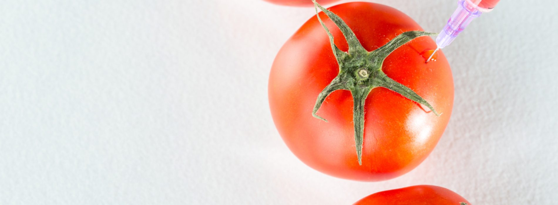 Genetisch bewerkte tomaat gepromoot als therapeutisch, maar is het zelfs veilig?