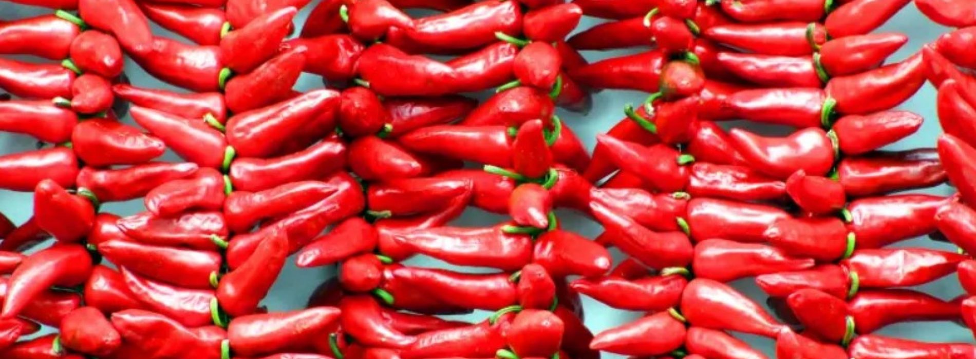 Chilipepers: van het bestrijden van kanker tot het voorkomen van hartziekten, hier zijn 6 gezondheidsvoordelen van deze pittige favoriet