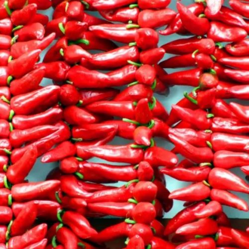 Chilipepers: van het bestrijden van kanker tot het voorkomen van hartziekten, hier zijn 6 gezondheidsvoordelen van deze pittige favoriet