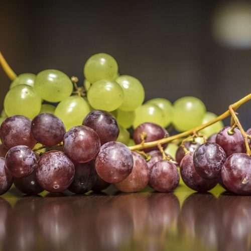 Hoera voor druiven! Hoe een dagelijkse kom jaren aan je leven kan toevoegen en de ziekte van Alzheimer kan weghouden