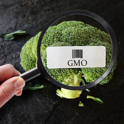 GEEN UITWEG: Bill Gates, WEF pusht GGO-voedsel, om het einde in te luiden van voedsel zoals we het kennen