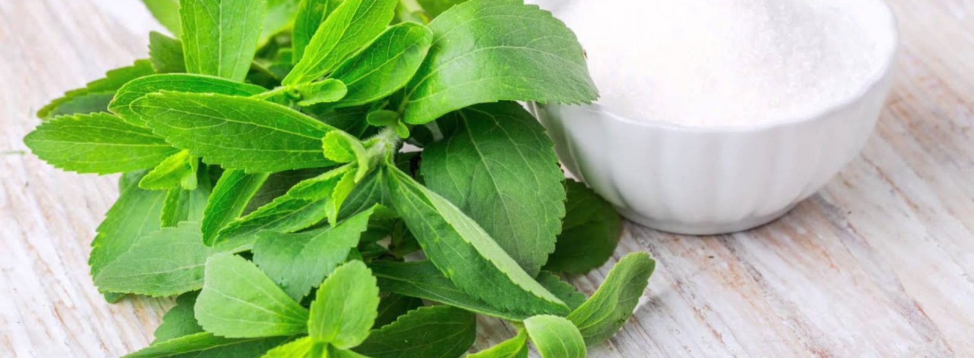 Gezondheidsnieuws over borstkanker: Stevia is de veiligste zoete keuze