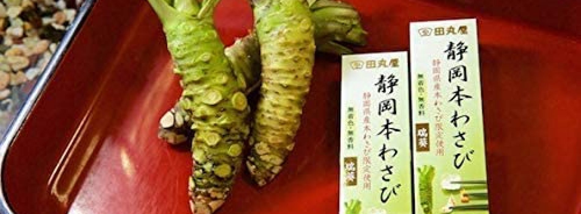 Japanse specerij bestrijdt zeer dodelijke pancreaskanker