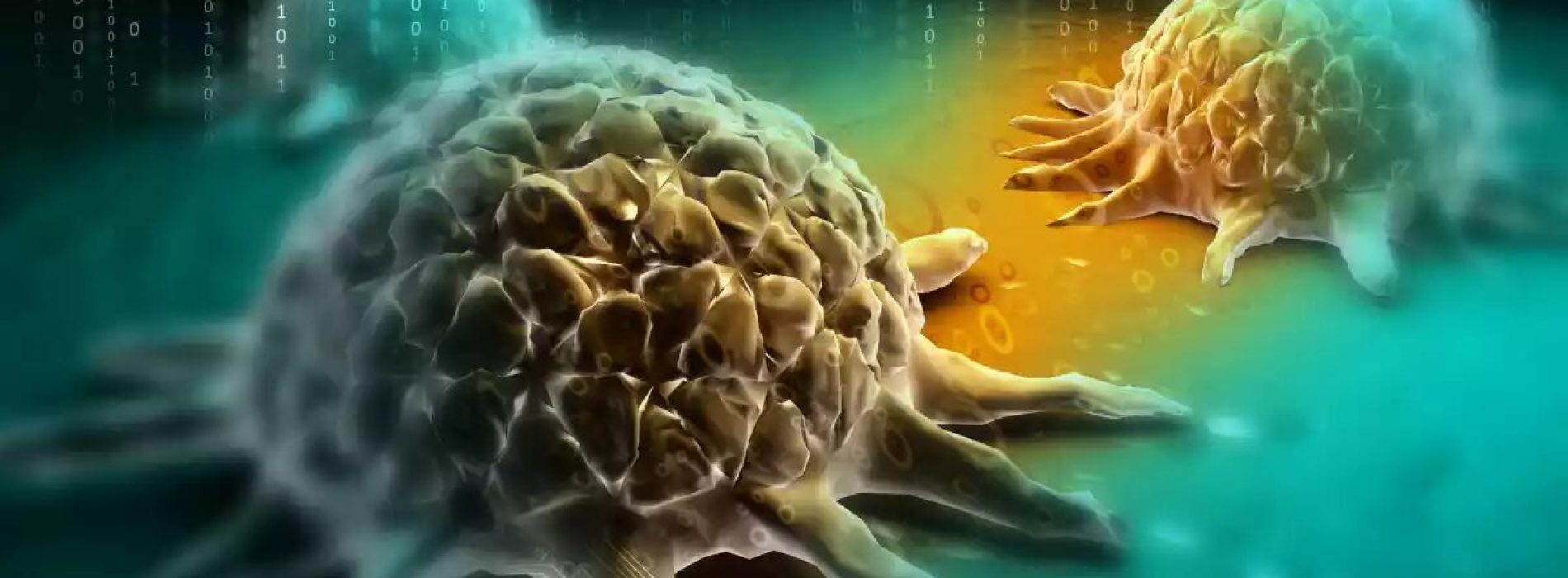 EMV’s zijn mogelijk kankerverwekkend voor de mens