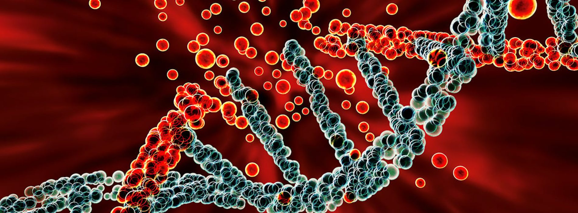 DNA-reparatie beschadigd door blootstelling aan kankerverwekkende huishoudelijke producten