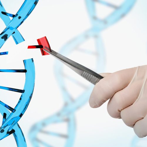 Wetenschappers zijn gealarmeerd door de Britse goedkeuring van CRISPR-gentherapie bij mensen